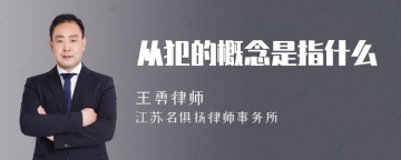 从犯的概念是指什么