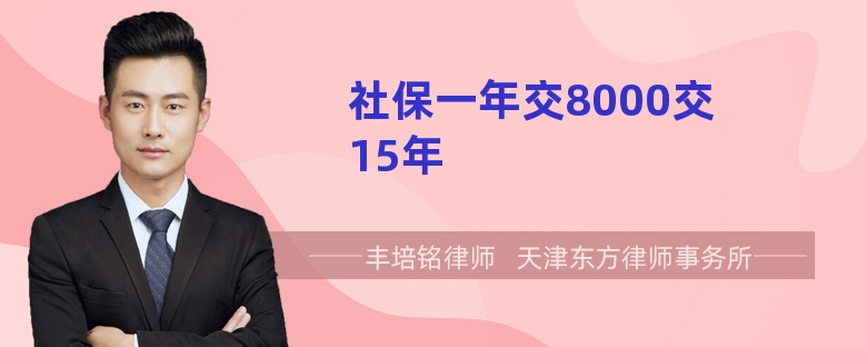 社保一年交8000交15年