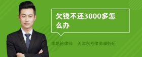 欠钱不还3000多怎么办