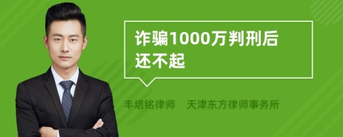 诈骗1000万判刑后还不起