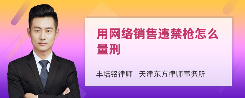 用网络销售违禁枪怎么量刑