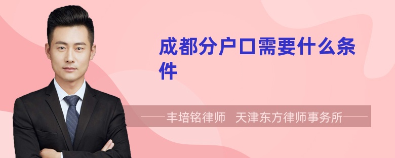成都分户口需要什么条件