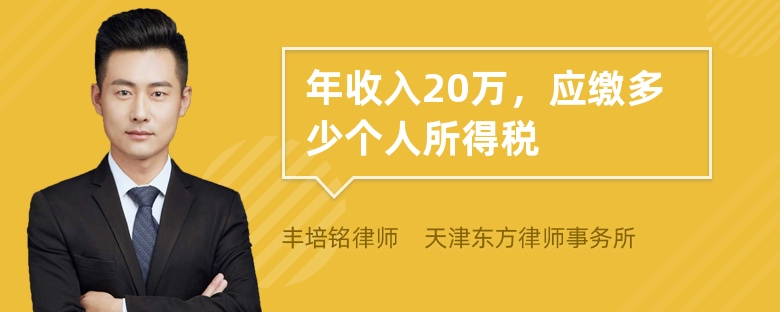 年收入20万，应缴多少个人所得税