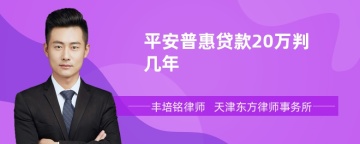 平安普惠贷款20万判几年