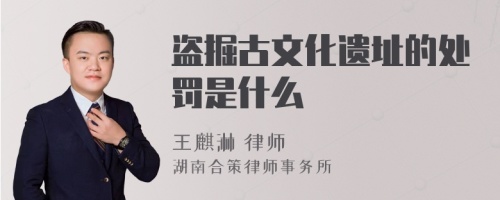 盗掘古文化遗址的处罚是什么