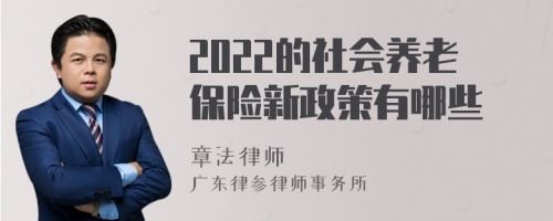 2022的社会养老保险新政策有哪些