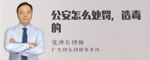 公安怎么处罚，造毒的