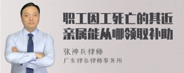 职工因工死亡的其近亲属能从哪领取补助