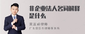 非企业法人名词解释是什么