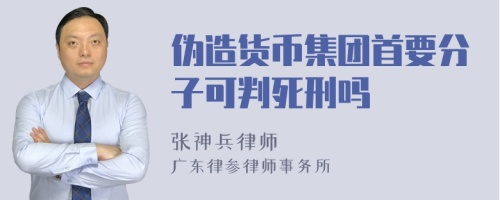 伪造货币集团首要分子可判死刑吗