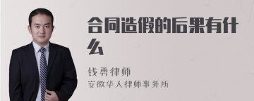 合同造假的后果有什么