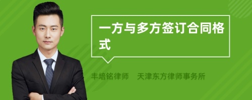 一方与多方签订合同格式