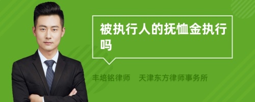 被执行人的抚恤金执行吗