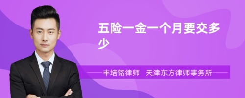 五险一金一个月要交多少