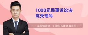 1000元民事诉讼法院受理吗