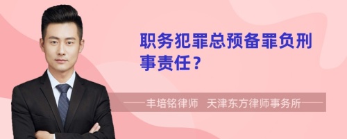 职务犯罪总预备罪负刑事责任？