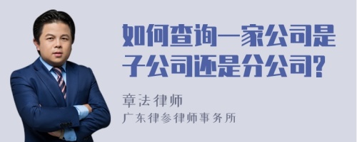 如何查询一家公司是子公司还是分公司?