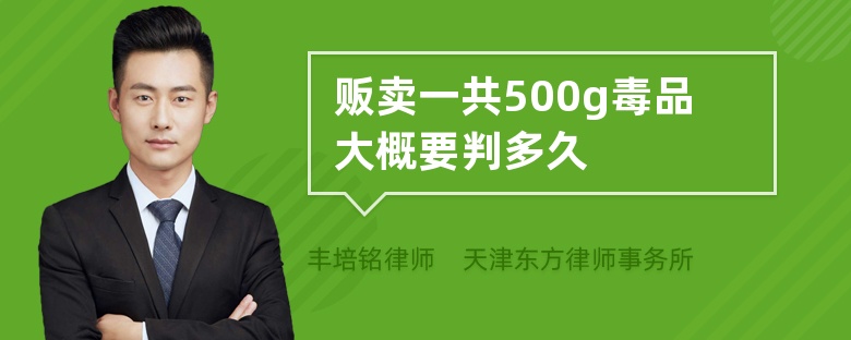 贩卖一共500g毒品大概要判多久