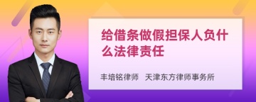 给借条做假担保人负什么法律责任