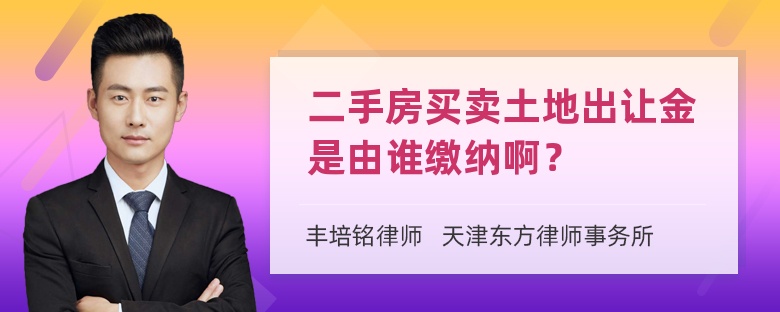 二手房买卖土地出让金是由谁缴纳啊？