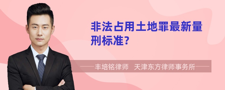 非法占用土地罪最新量刑标准?