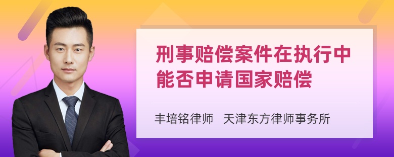 刑事赔偿案件在执行中能否申请国家赔偿