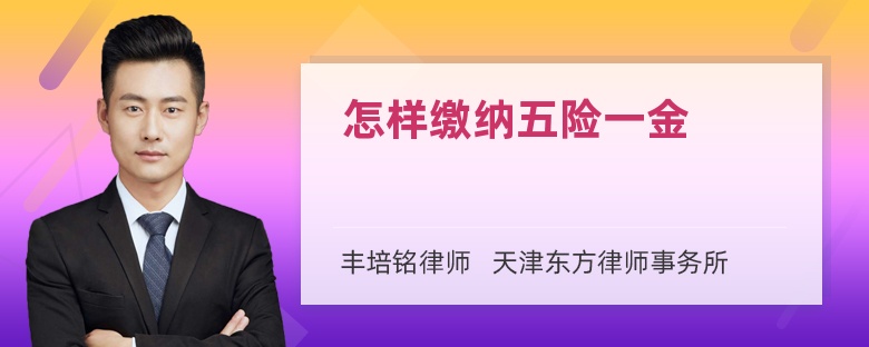 怎样缴纳五险一金