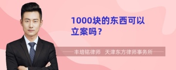 1000块的东西可以立案吗？