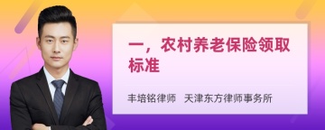 一，农村养老保险领取标准