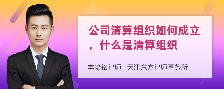 公司清算组织如何成立，什么是清算组织