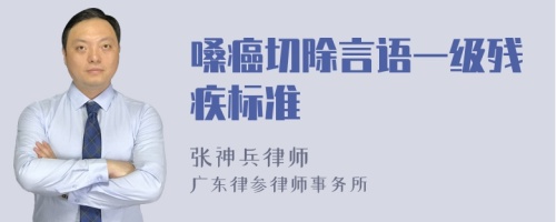 嗓癌切除言语一级残疾标准