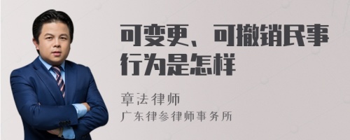 可变更、可撤销民事行为是怎样