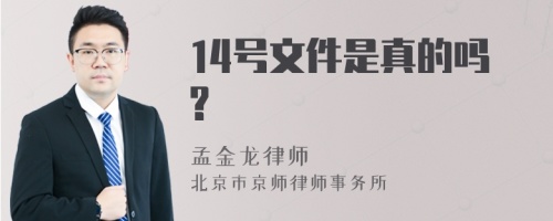 14号文件是真的吗?