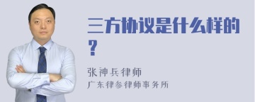 三方协议是什么样的？