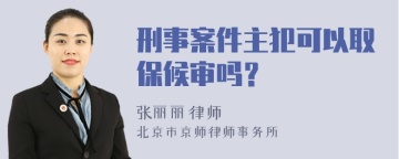 刑事案件主犯可以取保候审吗？