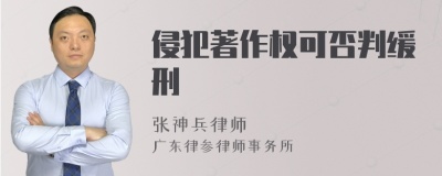 侵犯著作权可否判缓刑