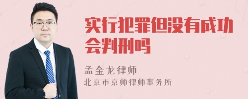 实行犯罪但没有成功会判刑吗