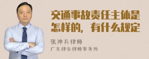 交通事故责任主体是怎样的，有什么规定