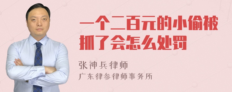 一个二百元的小偷被抓了会怎么处罚