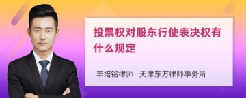 投票权对股东行使表决权有什么规定