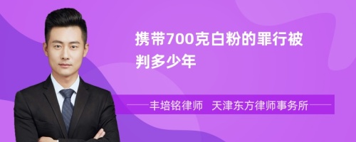 携带700克白粉的罪行被判多少年