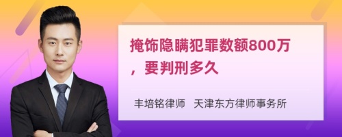 掩饰隐瞒犯罪数额800万，要判刑多久