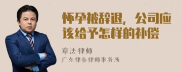 怀孕被辞退，公司应该给予怎样的补偿