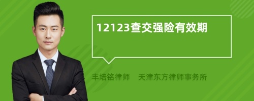 12123查交强险有效期