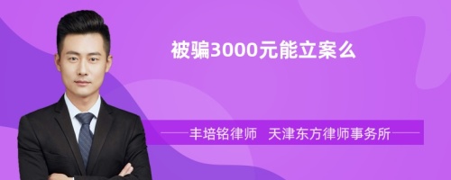 被骗3000元能立案么