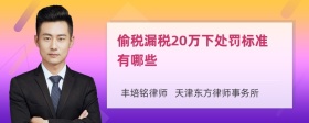 偷税漏税20万下处罚标准有哪些