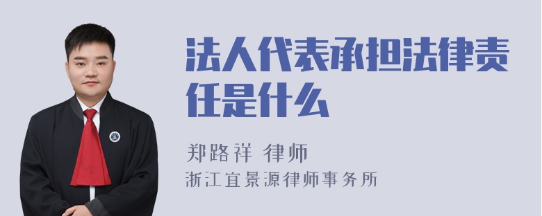 法人代表承担法律责任是什么