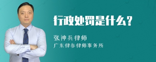 行政处罚是什么？