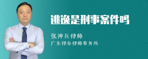 逃逸是刑事案件吗