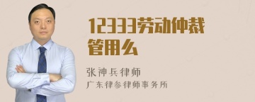 12333劳动仲裁管用么